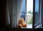 Острожно: открытые окна